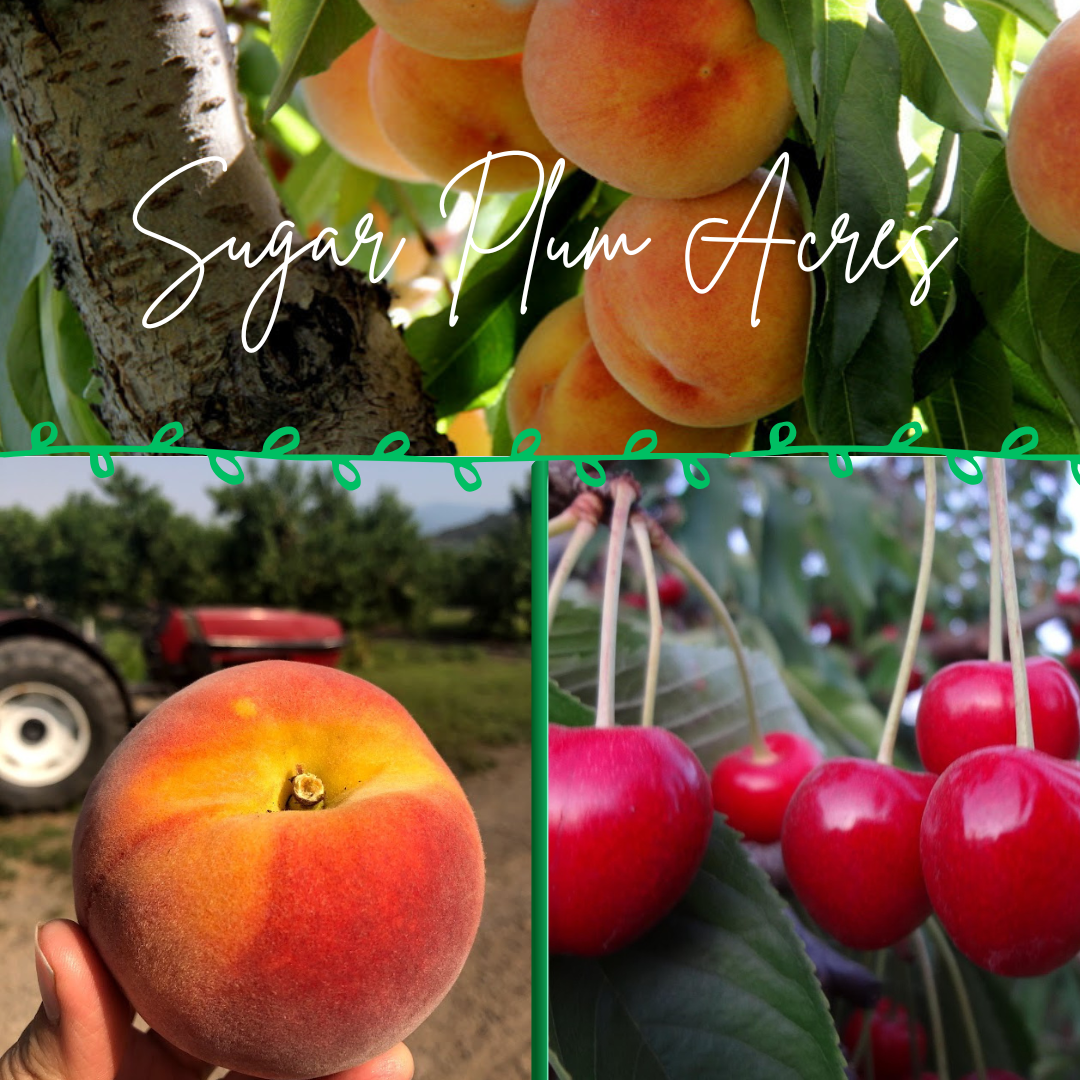 Sugar Plum Acres